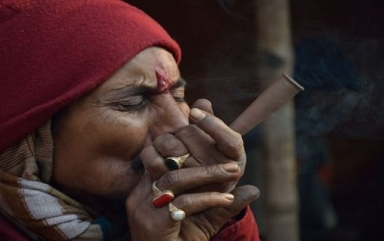 Are you brushing up on your cannabis translation terminology?